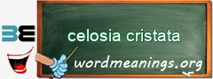 WordMeaning blackboard for celosia cristata